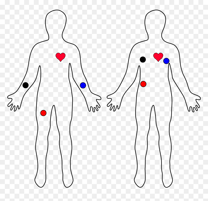 Line Art, HD Png Download - heart monitor png