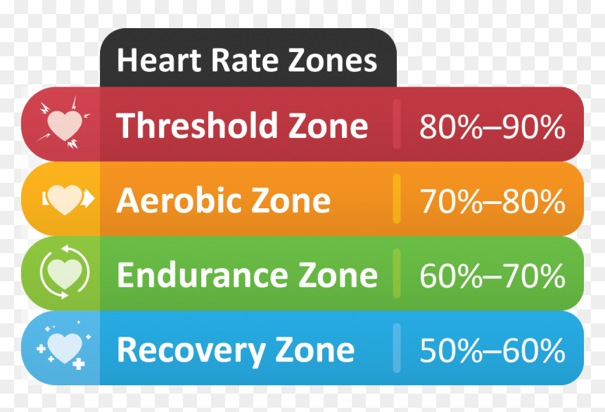 Screenshot, HD Png Download - heart monitor png