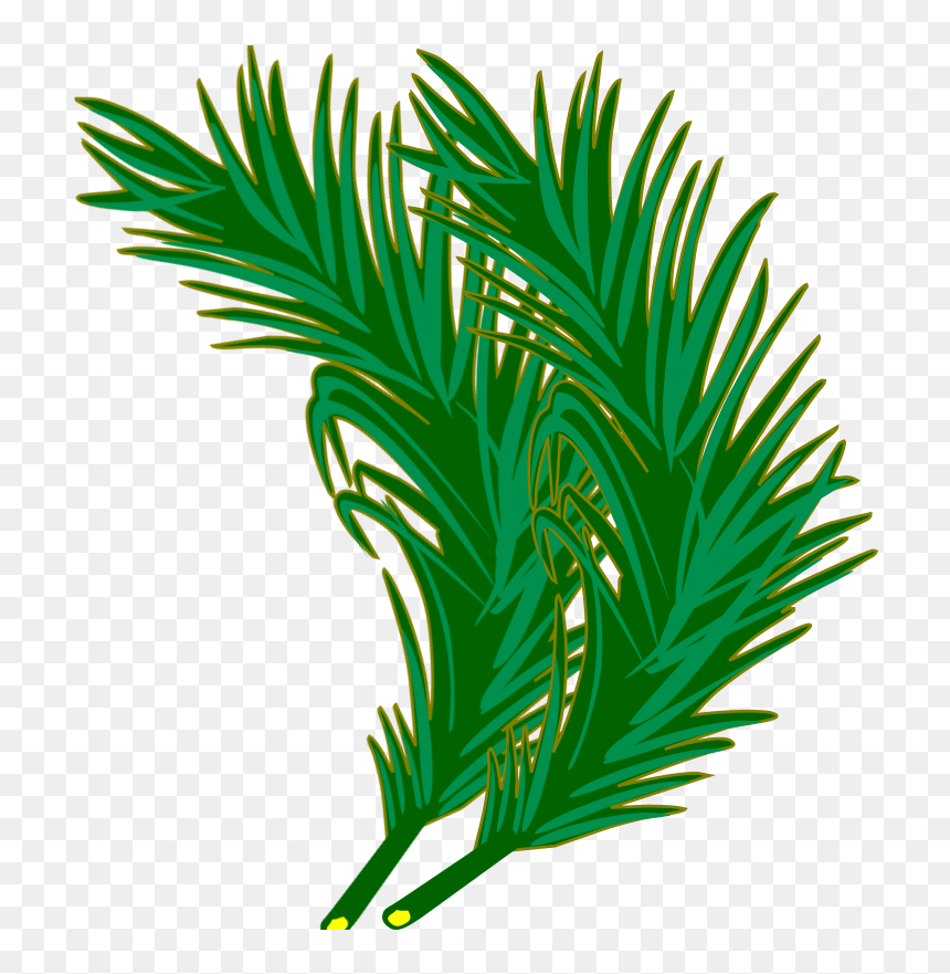 Clip Art, HD Png Download - palm sunday png