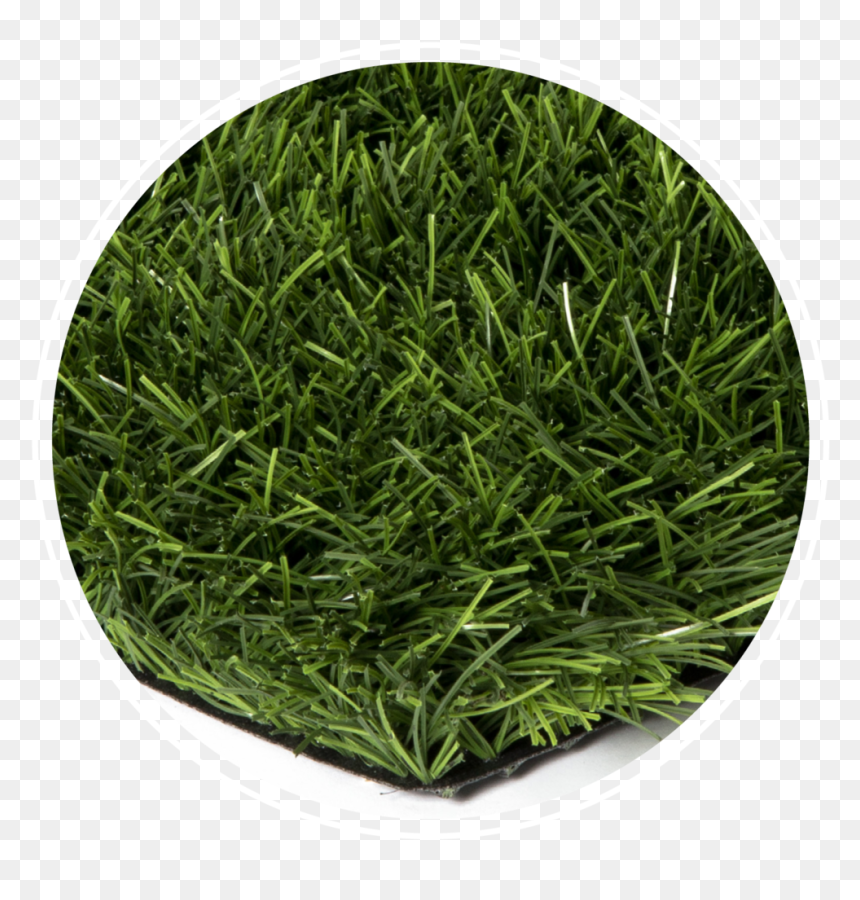 Thread, HD Png Download - turf png