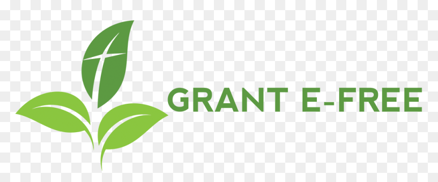 Team Brazil, HD Png Download - palm sunday png