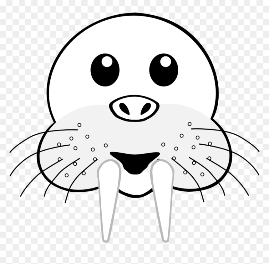 Walrus Head Clipart, HD Png Download - stuffed animals png