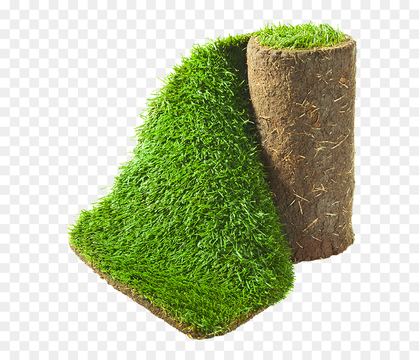Sod, HD Png Download - turf png