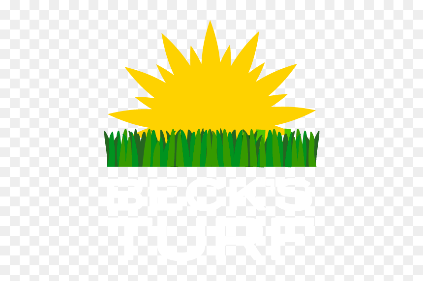 Illustration, HD Png Download - turf png