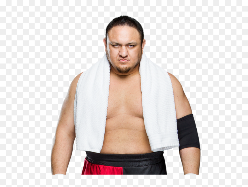 Samoa Joe Png, Transparent Png - wwe ladder png