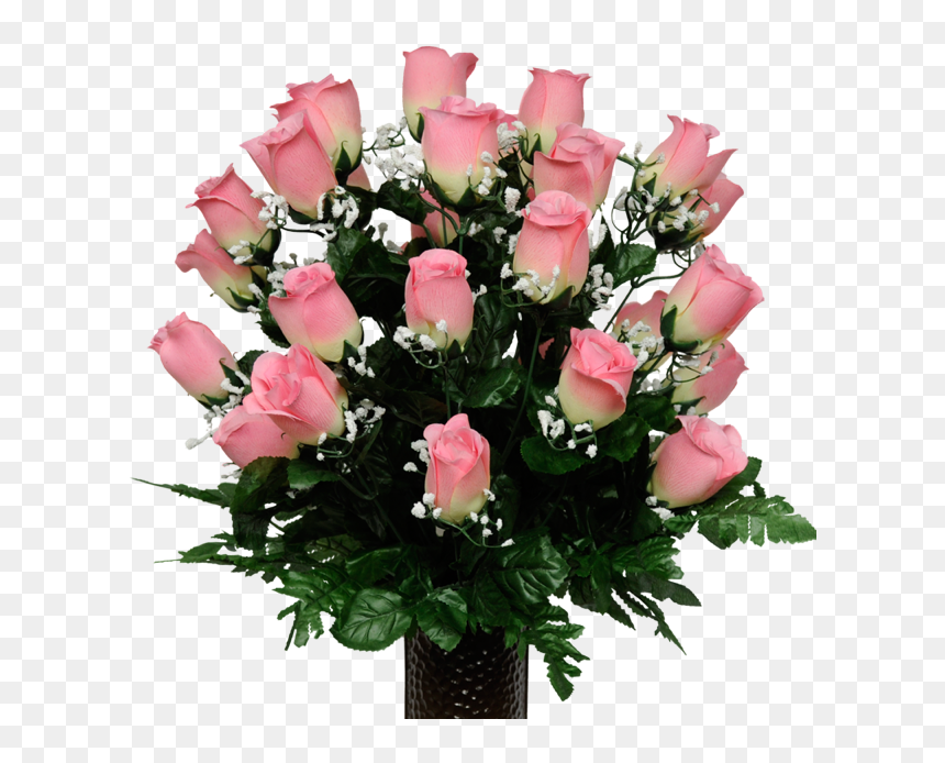 Garden Roses, HD Png Download - babys breath png