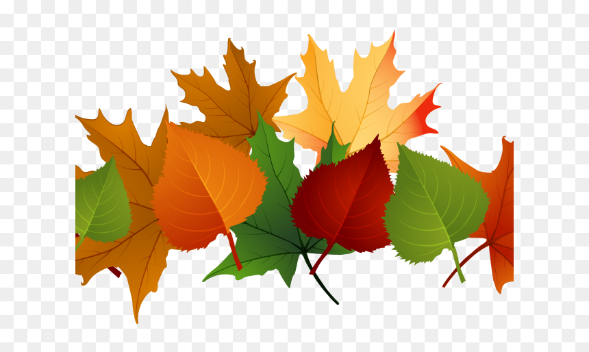 Fall Leaves Transparent Background, HD Png Download - babys breath png