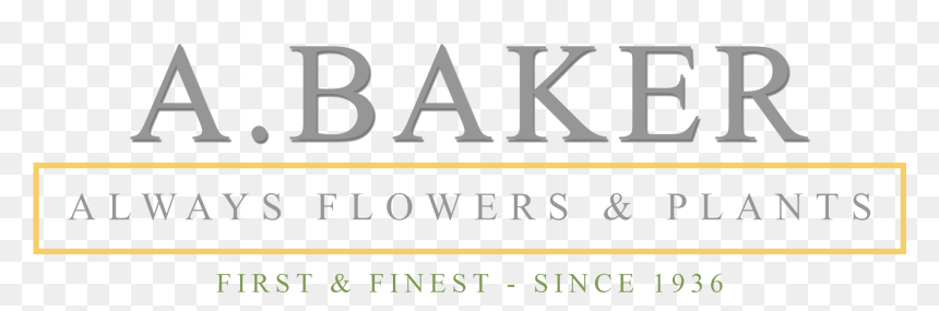 Calligraphy, HD Png Download - babys breath png