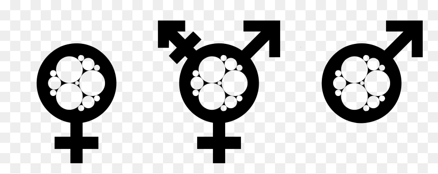 Transgender Pride Symbol, HD Png Download - lesbian symbol png