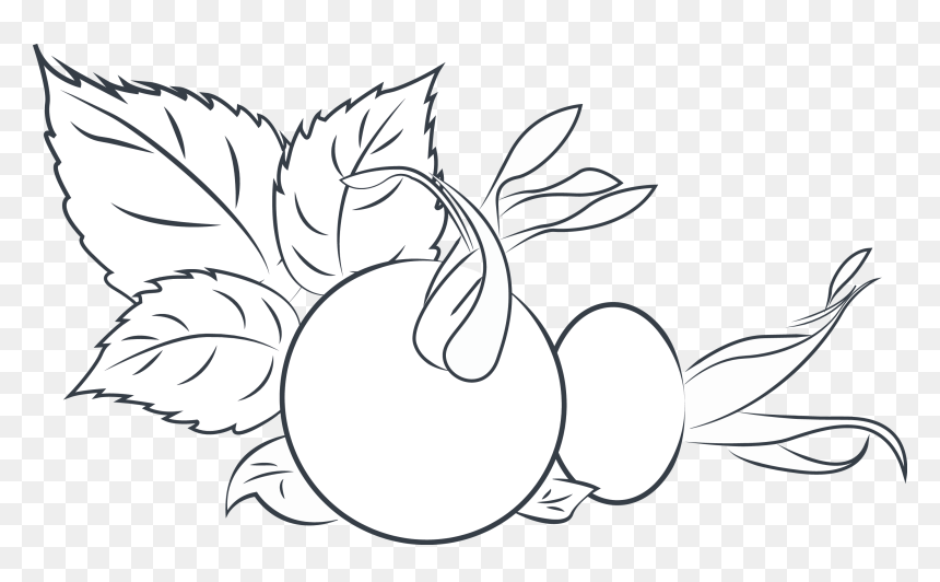 Illustration, HD Png Download - black rose petals png