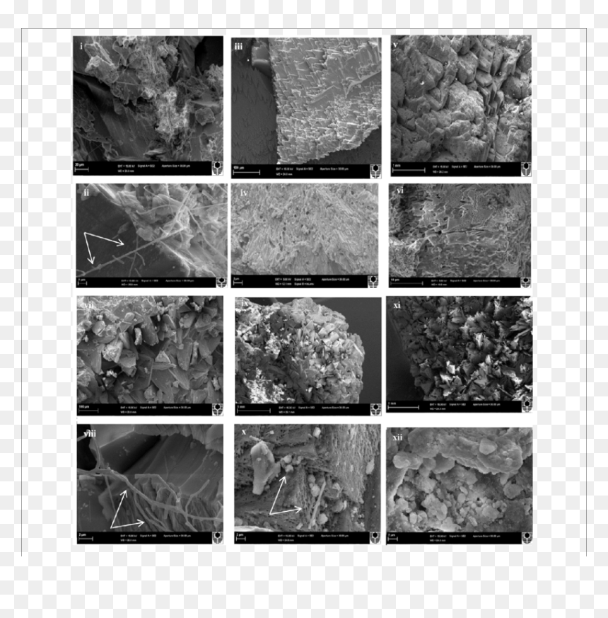 Monochrome, HD Png Download - stalagmite png