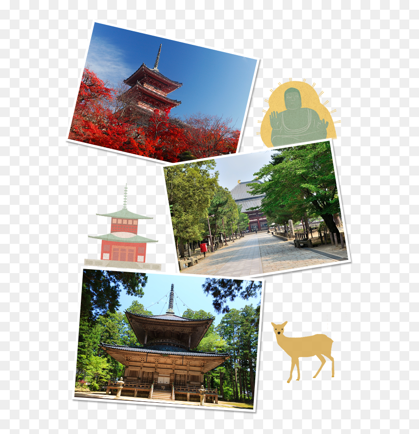 White-tailed Deer, HD Png Download - yoshimitsu png