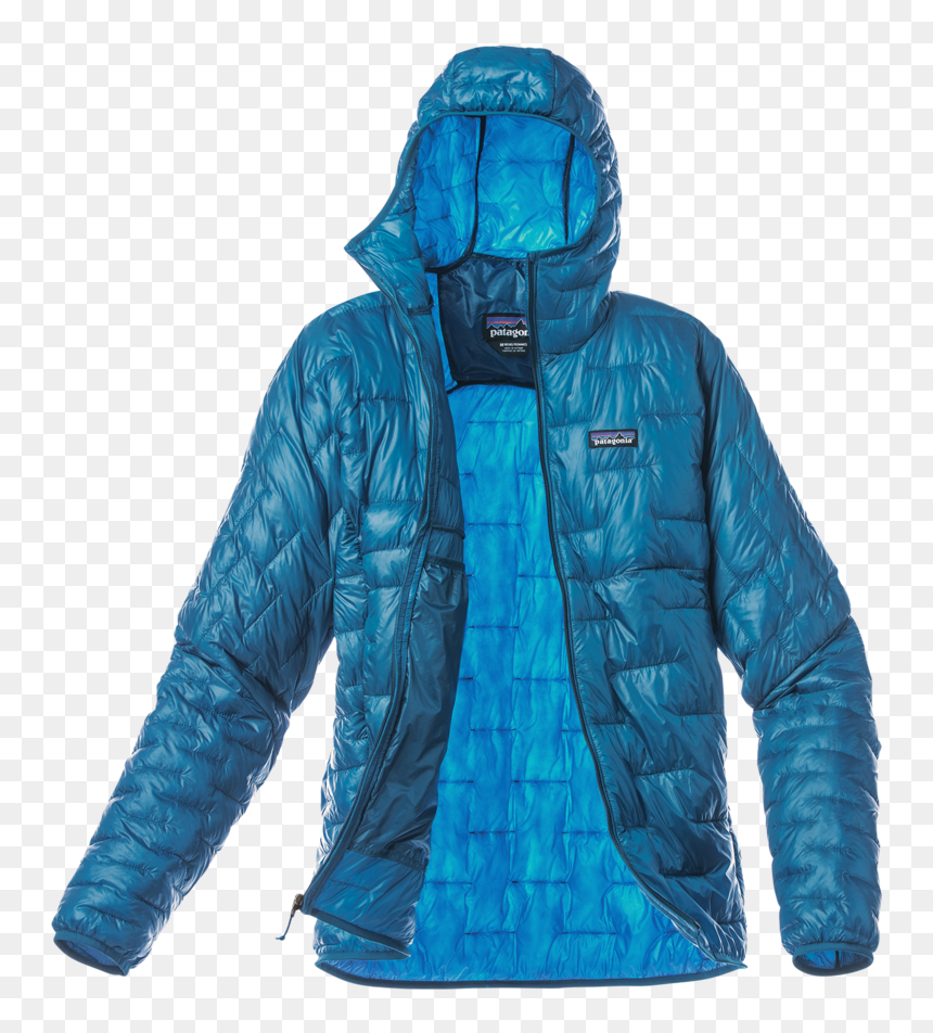 Patagonia Men's Micro Puff Hoody, HD Png Download - pine needles png