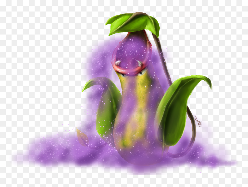 Victreebel Used Poison Powder By Yggdrassal, HD Png Download - victreebel png