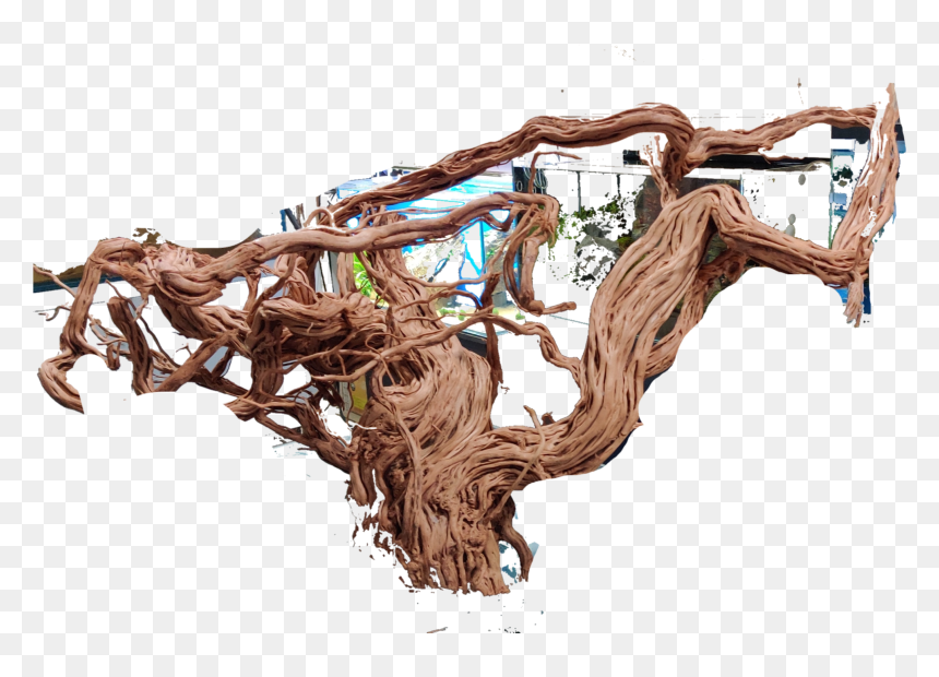 Driftwood, HD Png Download - drift wood png