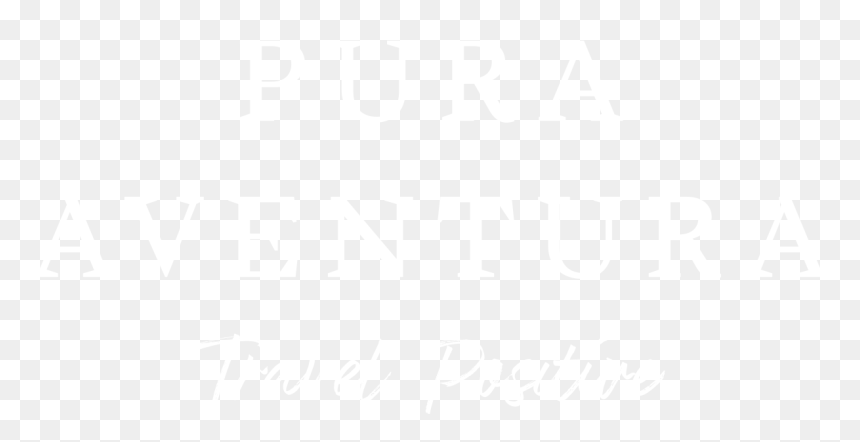 Pura Logo Large - Johns Hopkins Logo White, HD Png Download - camino png