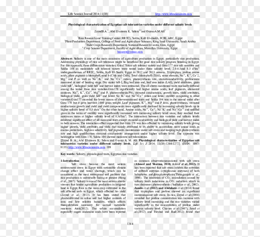 Document, HD Png Download - salt life png