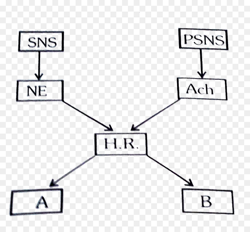 Diagram, HD Png Download - open pokeball png