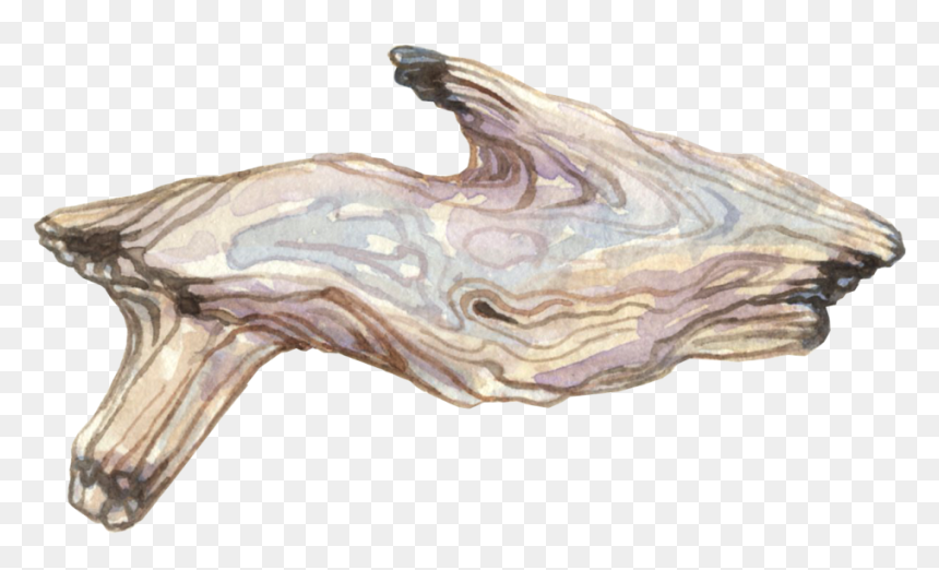 Portable Network Graphics, HD Png Download - drift wood png