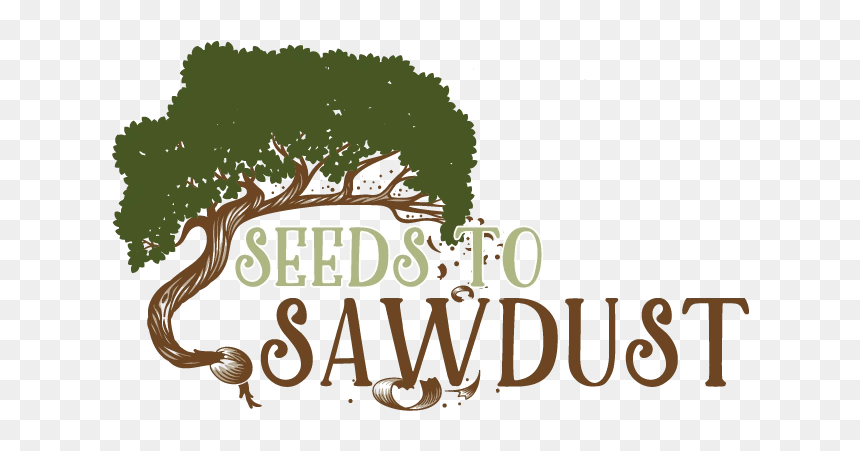 Seeds To Sawdust - Tree, HD Png Download - saw dust png