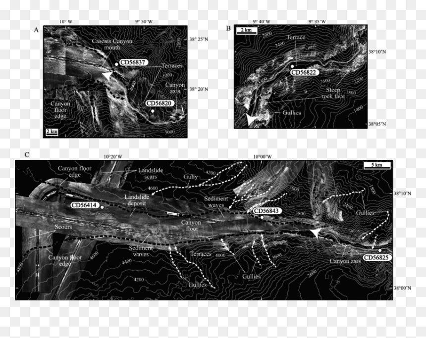 Tobi Side-scan Sonar Images And Superimposed Bathymetry - Aerial Photography, HD Png Download - tobi png