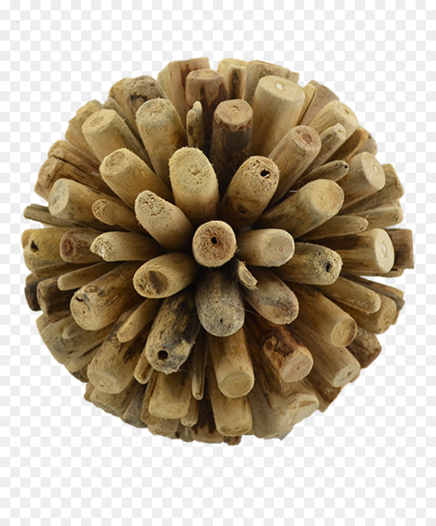 Driftwood Decorative Ball 6" - Breakwater Bay Hoover Natural Wood Sphere, HD Png Download - drift wood png