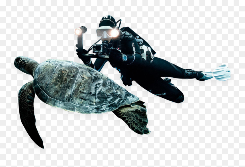 Gear - Green Sea Turtle, HD Png Download - scuba png
