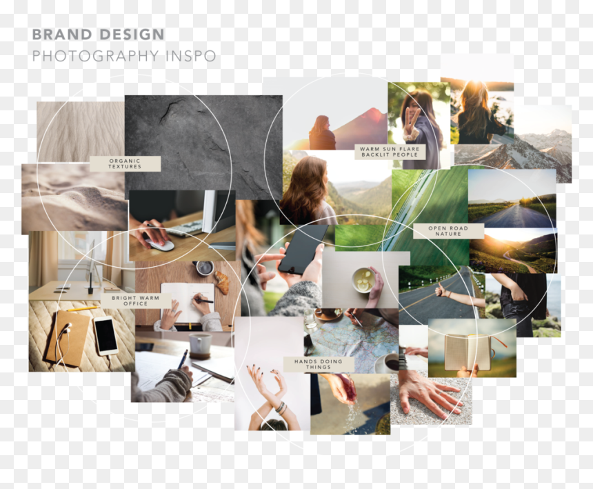 Rhbc For Mkw Web-04 , Png Download - Collage, Transparent Png - spider web texture png