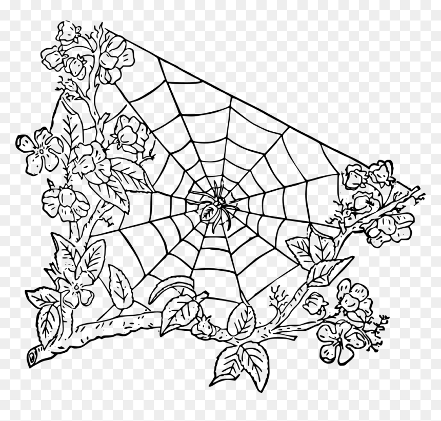 Portable Network Graphics, HD Png Download - spider web texture png