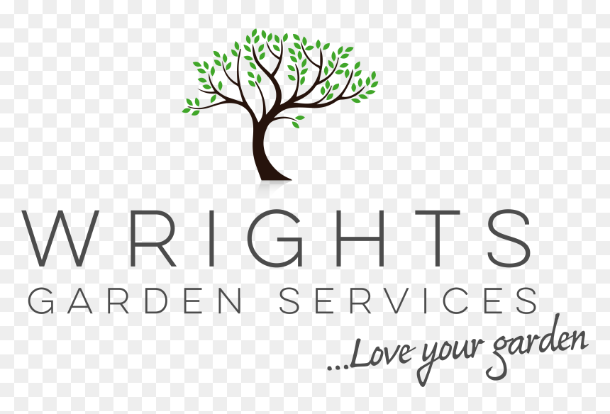Twig, HD Png Download - guyver png