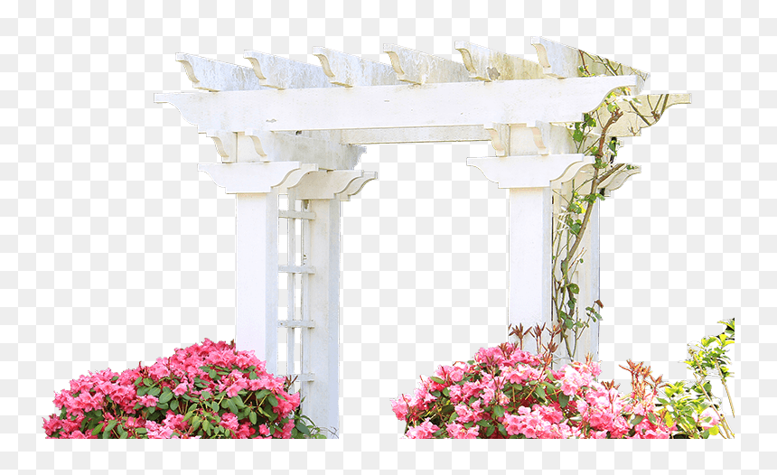 Rhododendron, HD Png Download - trellis png