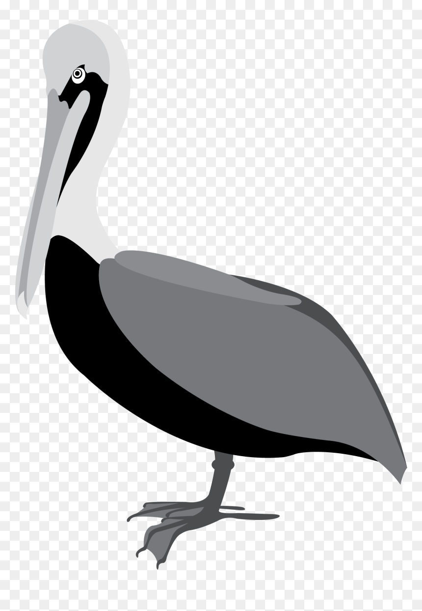 Pelican Clipart Vector - Pelicans Vector Png, Transparent Png - pelipper png