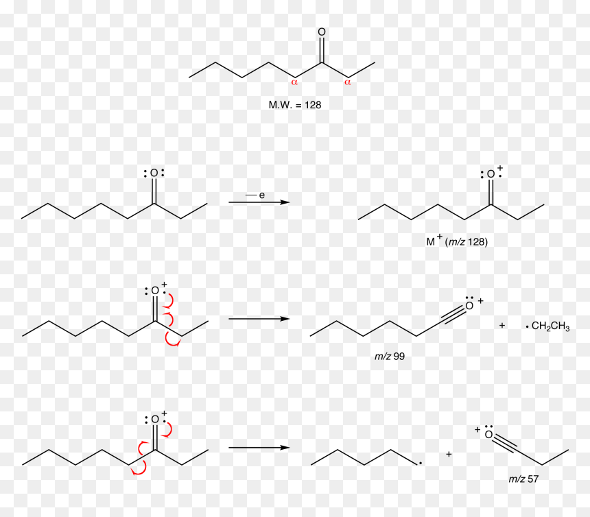 Alpha Cleavage Of Ketone, HD Png Download - cleavage png