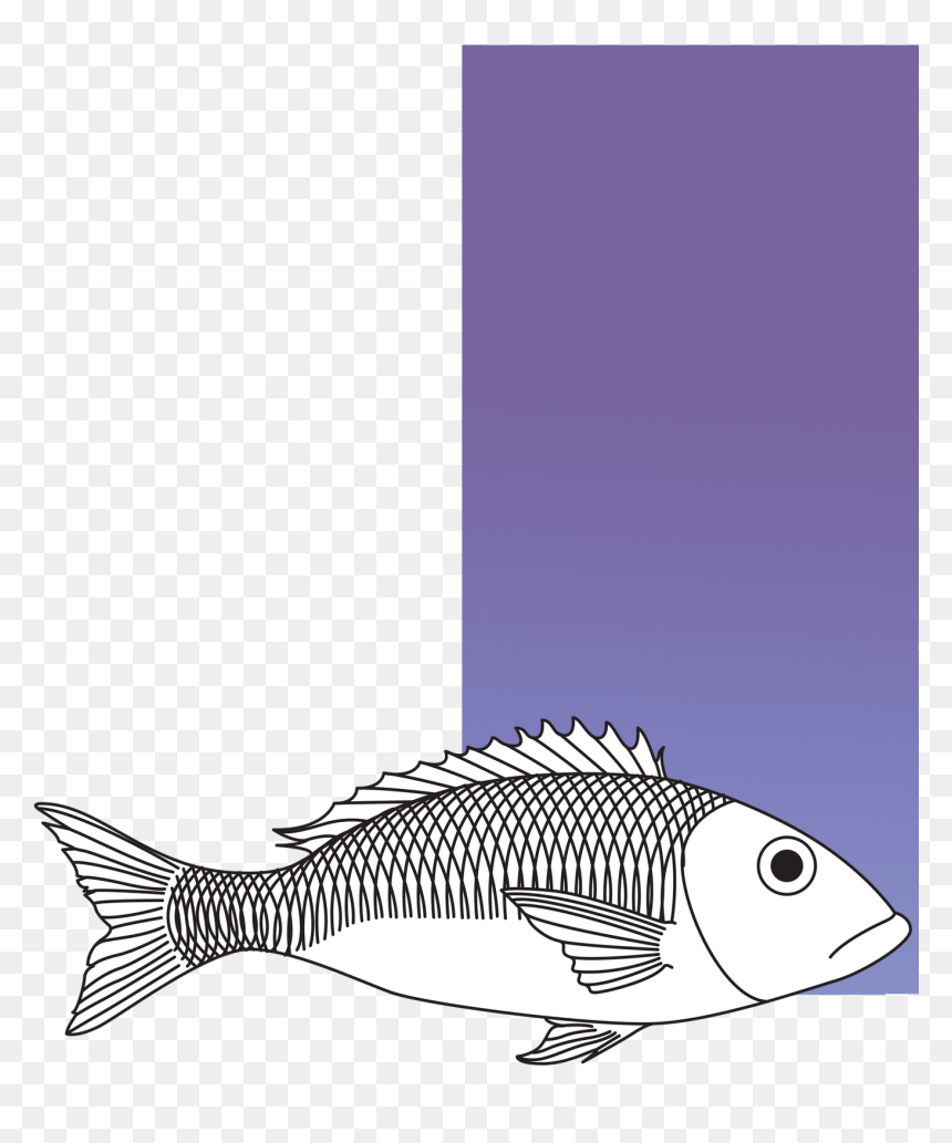 Perch Clipart , Png Download - Perch, Transparent Png - peixe png