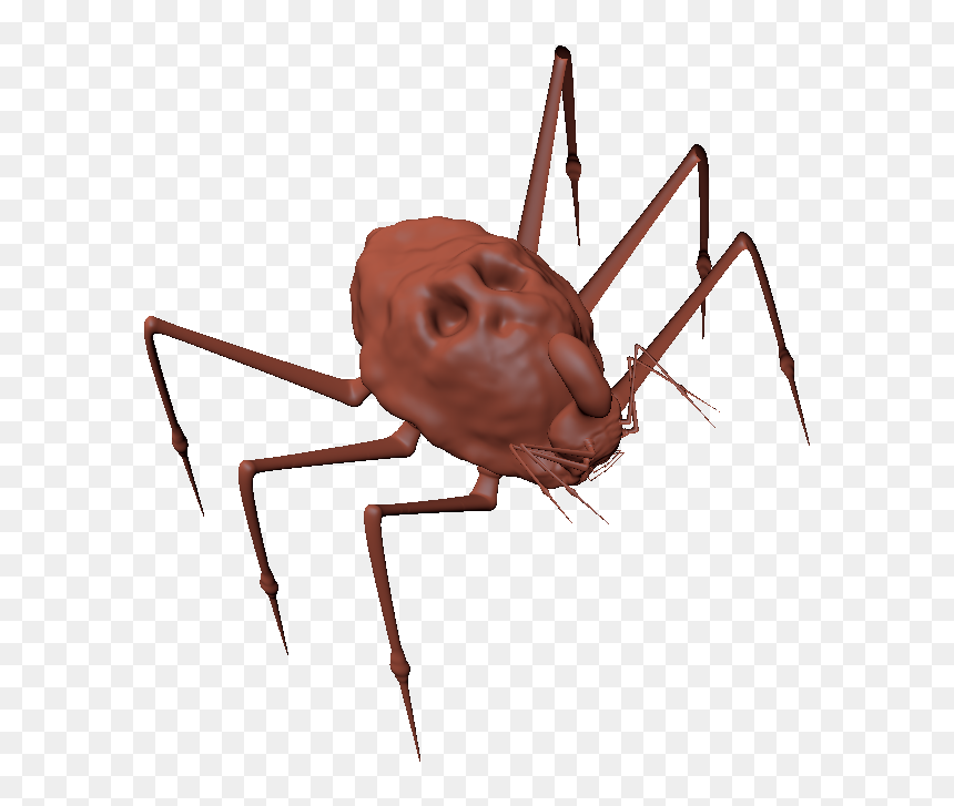 Araneus Cavaticus, HD Png Download - spider legs png