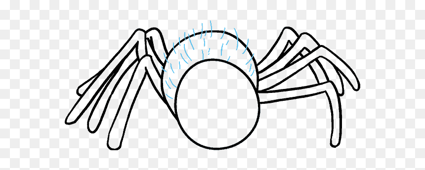 How To Draw Cartoon Spider, HD Png Download - spider legs png