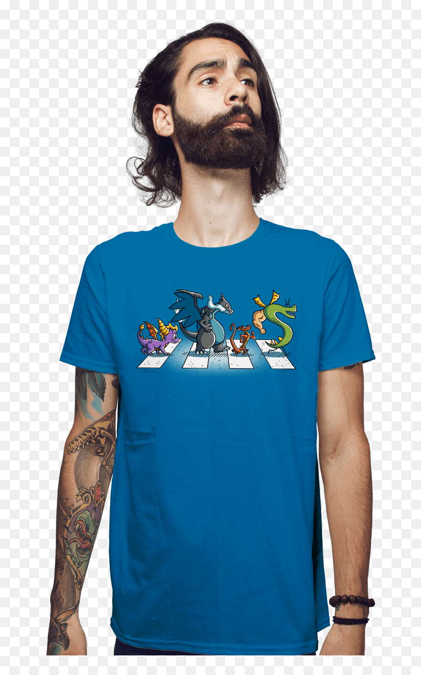 Zelda Breath Of The Wild Tshirt Transfer, HD Png Download - homestar runner png