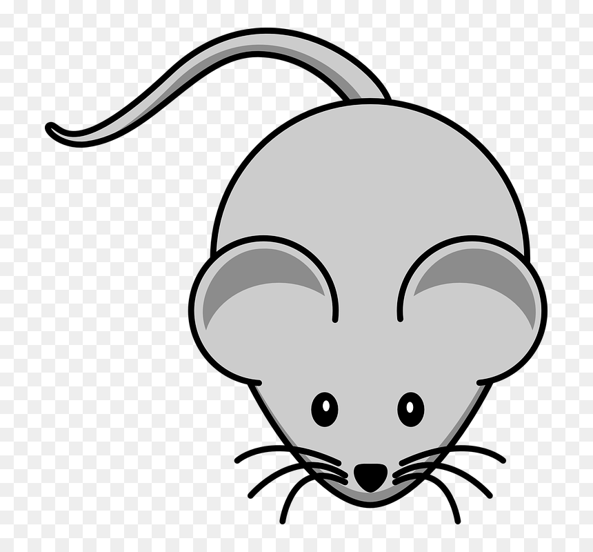 Mouse Clip Art, HD Png Download - bigotes png