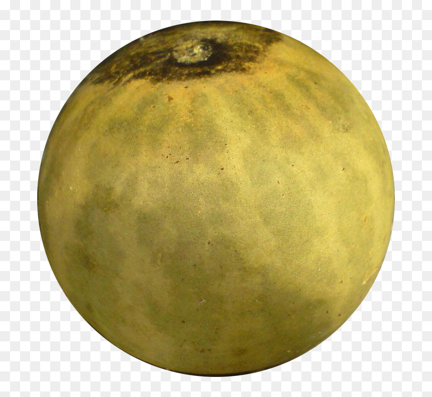 Citrullus Colocynthis - Colocynth Png, Transparent Png - pikmin png