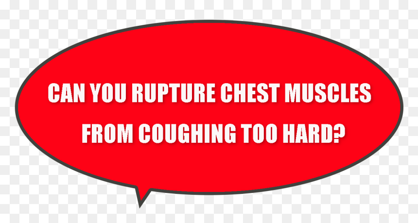 Pain Near Rib Cage Muscles When Coughing - Services, Industrial, Professional And Technical Union, HD Png Download - ribcage png