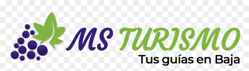 Turismo Ms - Calligraphy, HD Png Download - tecate logo png