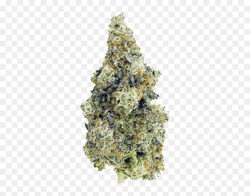 Cherry Punch Alberta Craft Cannabis Inc - Cherry Punch Blkmkt, HD Png Download - daehyun png