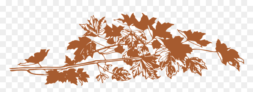 Autumn Leaves Vector Png, Transparent Png - hojas de otoño png