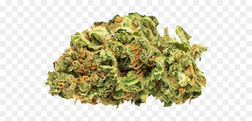 Jack Herer Aphria Inc - Jean Guy Good Supply Sqdc, HD Png Download - daehyun png