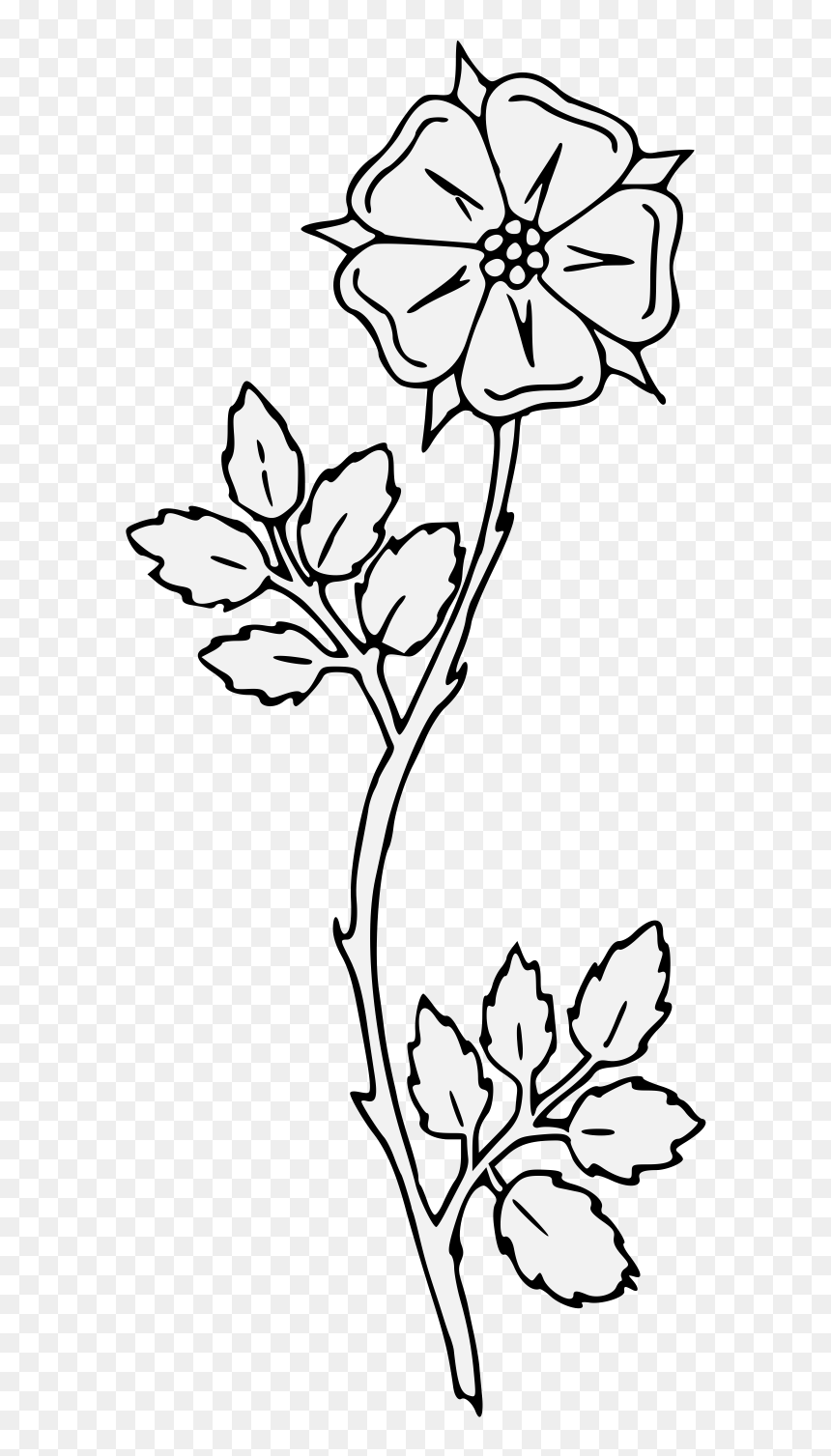 Line Art, HD Png Download - rose thorns png