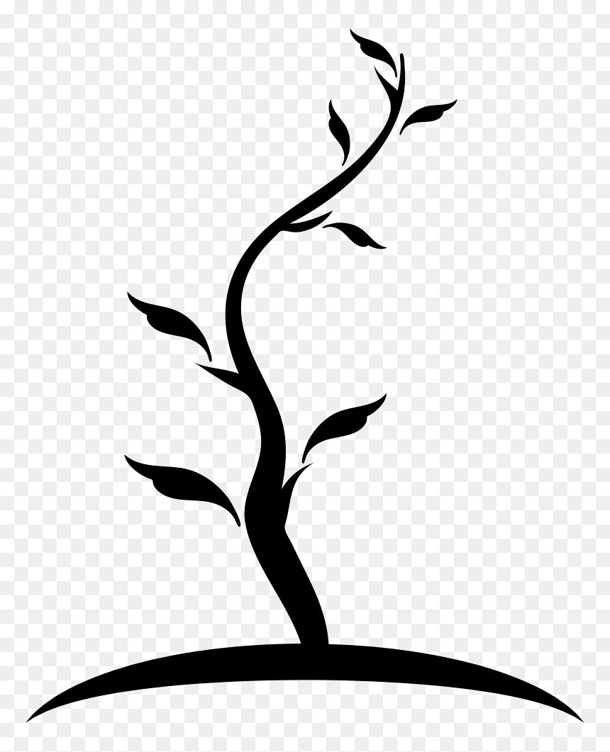 Tree Thin Shape Of Young Trunk With Few Leaves Comments - Young Tree Icon, HD Png Download - tronco png