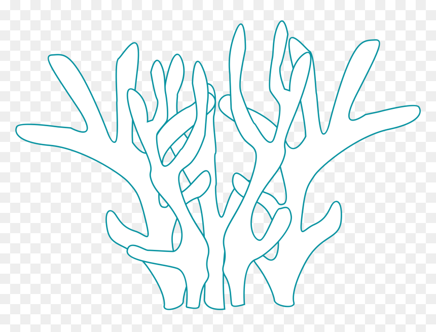 Corals Clip Arts - Coral Reefs For Coloring, HD Png Download - corals png