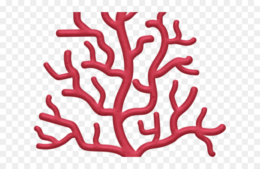 Transparent Embellishment Clipart - Cartoon Coral Transparent Background, HD Png Download - corals png