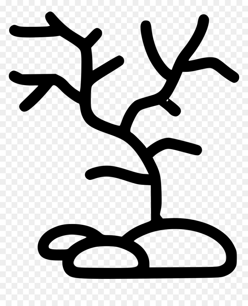 Corals - Scalable Vector Graphics, HD Png Download - corals png