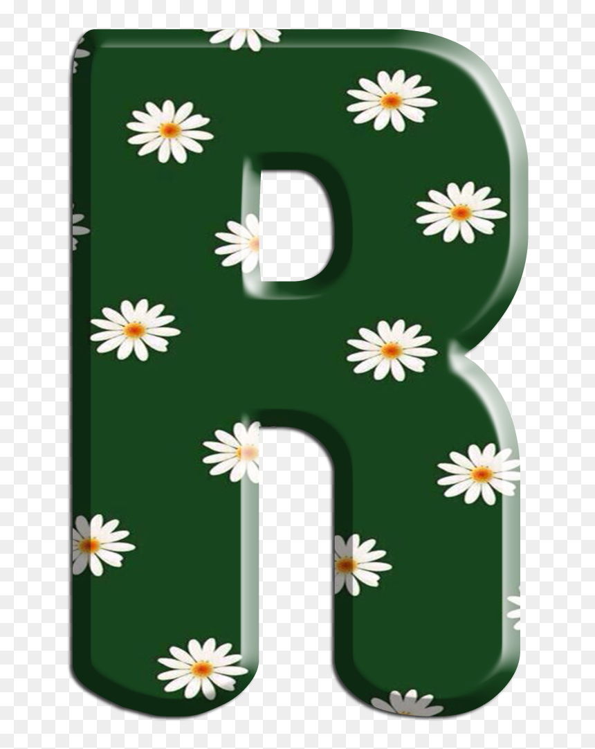 African Daisy, HD Png Download - bet png